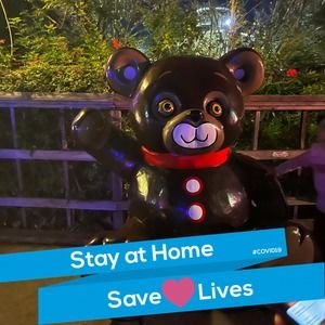 Meet your Posher, Wiggle